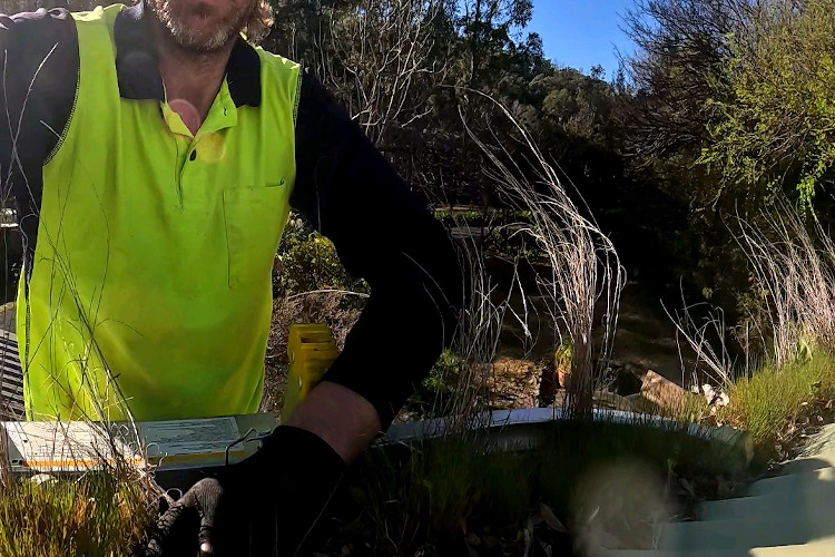 
Nature`s invasion: grass in merimbula gutters, cleaner ready for action.