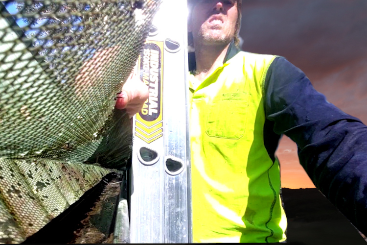 
Local merimbula Gutter Cleaner Unveils Cleaned Gutter with Guards