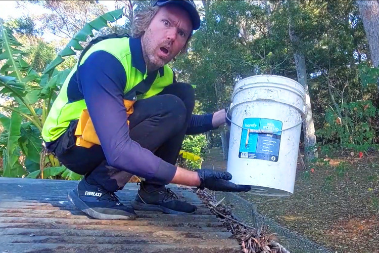 
A bucket proves indispensable in merimbula gutter cleaning.