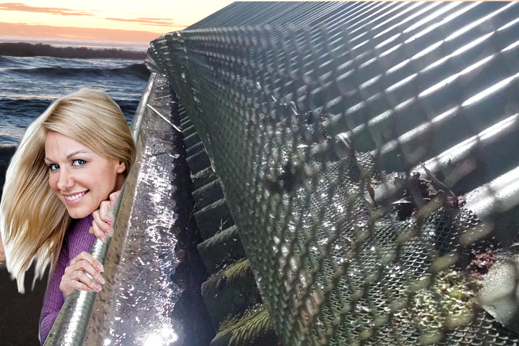 
Curiosity at Play: merimbula Woman Examines Gutter Guard-Covered Cleaned Gutter