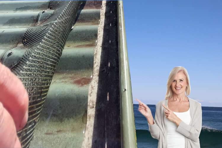 
Delighted merimbula Woman Enjoys Cleaned Under Gutter Guard Results